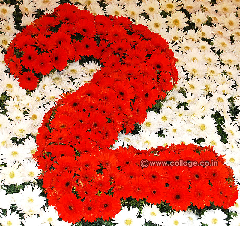 Two number collage
