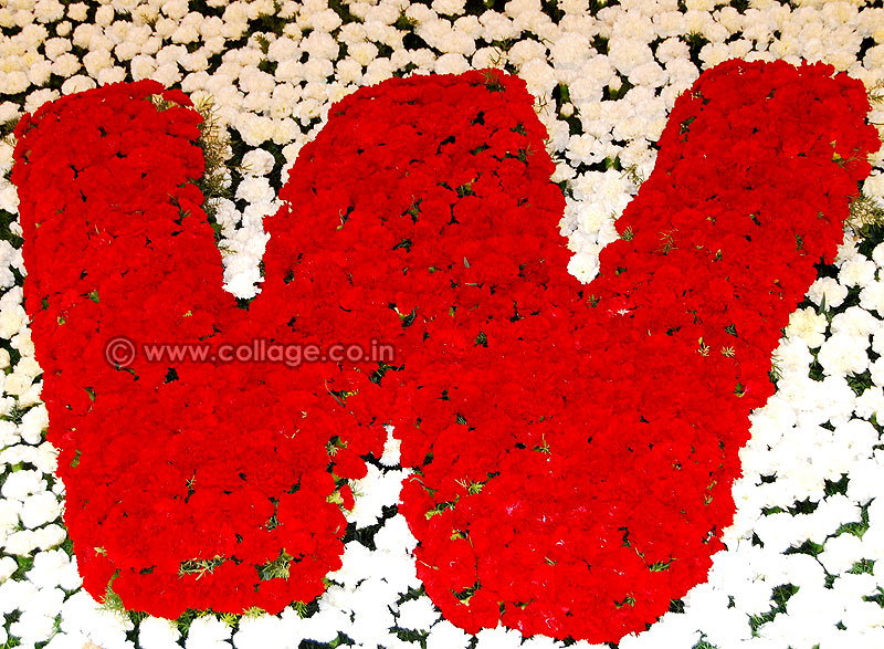 Decorative w letter