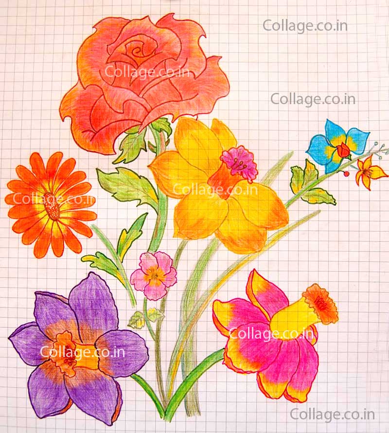 Rose with	Daffodil and Chrysanthemum
