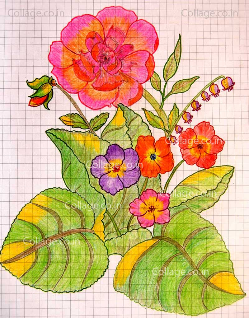 Simple Rose Flower with flowers bouquet - Hand drawn